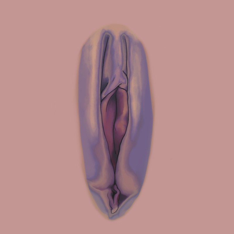Vulva Portrait Experience And Testimony 1 Vulva Portrait Experience And Testimony 1