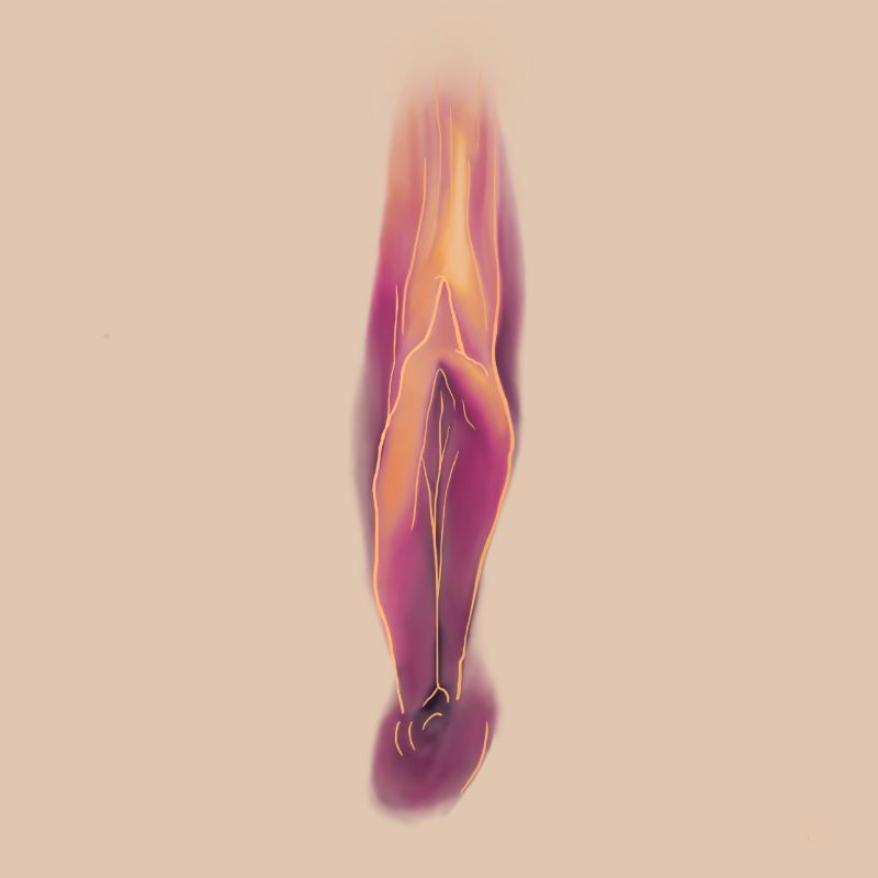 Vulva Portrait Experience And Testimony 1 Vulva Portrait Experience And Testimony 1