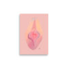 Mystery Vulva: Poster 2