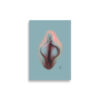 Wisdom Vulva: Poster 1