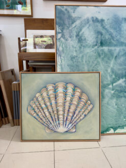 Alternative View Of Shells Of The Shore